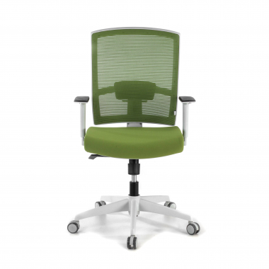 ergonomic chair white green white frame mesh 1d adjustable armrests lumbar support 4