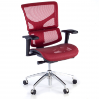 Executive ergonomic chair...