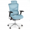 Next1 executive ergonomic chair, with premium model headrest
