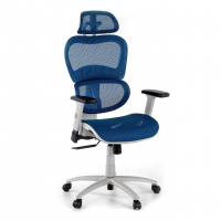 Ergonomic Chair Ergocity...