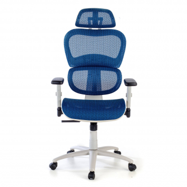 ergonomic chair white blue white frame mesh 3d adjustable armrests double lumbar support headrest 5