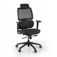 Bjorg Ergonomic Chair,...