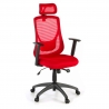 Lake office chair, adjustable arms, headrest, mesh