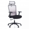 Tesla Office Chair, headrest, mesh lumbar support