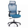 Tesla Office Chair, headrest, mesh lumbar support