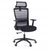 Tesla Office Chair, headrest, mesh lumbar support