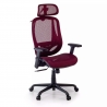 Locktech Ergonomic Office Chair, Lumbar Support, Headrest