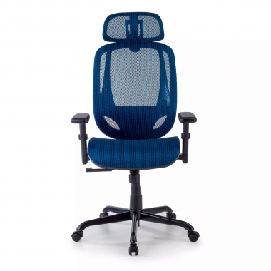 ergonomic chair blue locktech mesh 1d adjustable armrests lumbar support headrest 5
