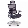 Next1 executive ergonomic chair, with premium model headrest