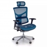 Next2 Ergonomic Chair, premium model with headrest