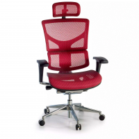 Next2 Ergonomic Chair,...