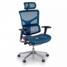 Next1 executive ergonomic chair, with premium model headrest