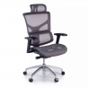 Next2 Ergonomic Chair, premium model with headrest