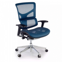 Next2 Ergonomic Chair,...