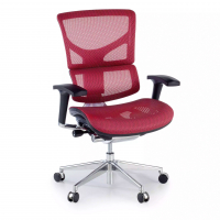 Next2 Ergonomic Chair,...