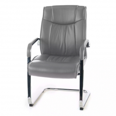 visitor chair gray sled base natural leather natural skin upholstered armrests 6