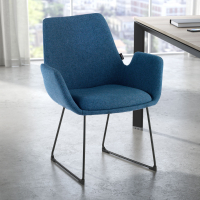 Visitor chair Glamm, sled base, steel frame
