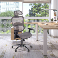 Ergonomic Chair Ergocity, lumbar cushion, 3D arms