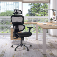 Ergonomic Chair Ergocity,...