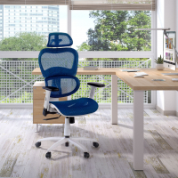 Ergonomic Chair Ergocity...