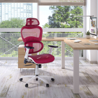 Ergonomic Chair Ergocity white, lumbar cushion, 3D arms