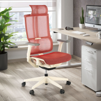 Ergonomic Chair with...
