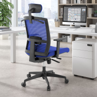 Ergonomic office chair Akira with headrest