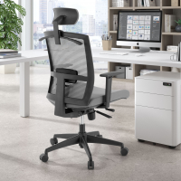 Ergonomic office chair...