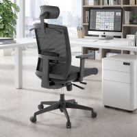 Ergonomic office chair...