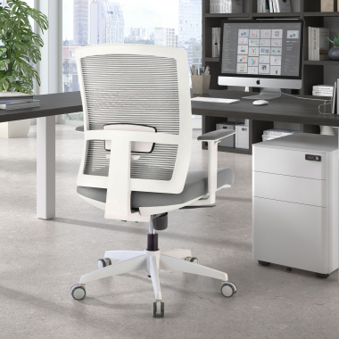 ergonomic chair white grey white frame mesh 1d adjustable armrests lumbar support 2