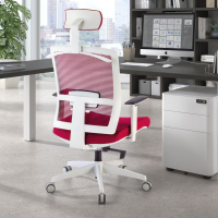 Akira white ergonomic office chair with headrest