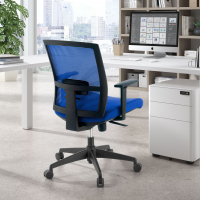 Akira ergonomic office...