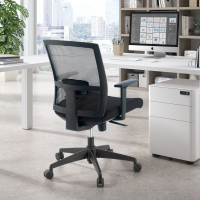 Akira ergonomic office...