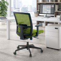 Akira ergonomic office...