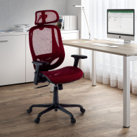 Locktech Ergonomic Office Chair, Lumbar Support, Headrest