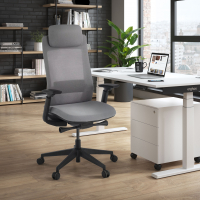 Intouch Black Ergonomic...