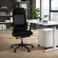 Intouch Black Ergonomic...