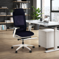 Intouch White Ergonomic...