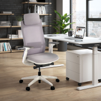 Intouch White Ergonomic...