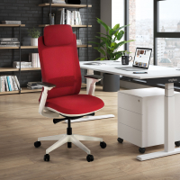 Intouch White Ergonomic Office Chair, Fully Adjustable