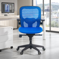 Amira ergonomic office...