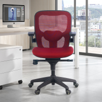 Amira ergonomic office...