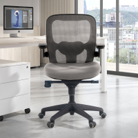Amira ergonomic office...