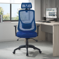 Lake office chair,...