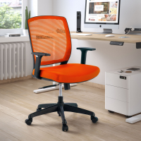 Dame task chair, injected foam