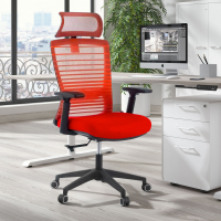 Tesla Office Chair, headrest, mesh lumbar support