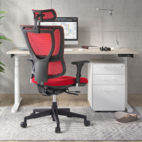 Ergonomic Chair Energy,...