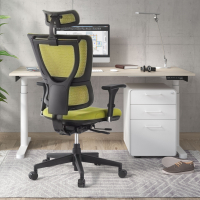 Ergonomic Chair Energy,...