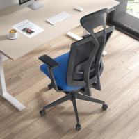 Ergonomic Chair Ridley, headrest, synchronous mechanism