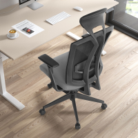 Ergonomic Chair Ridley,...